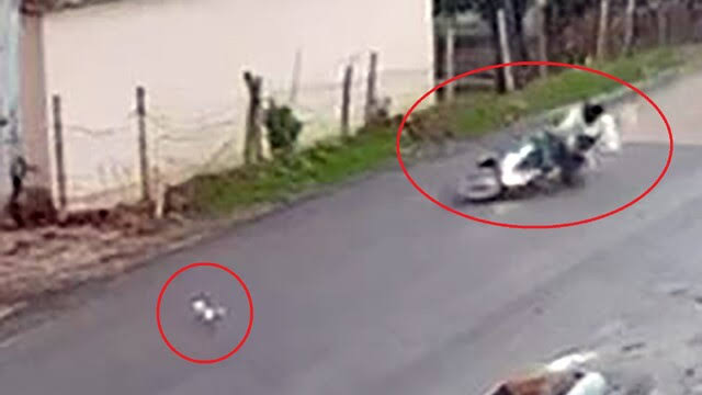 Adana'da kediye çarpmamak için manevra yapan motosikletli devrildi
