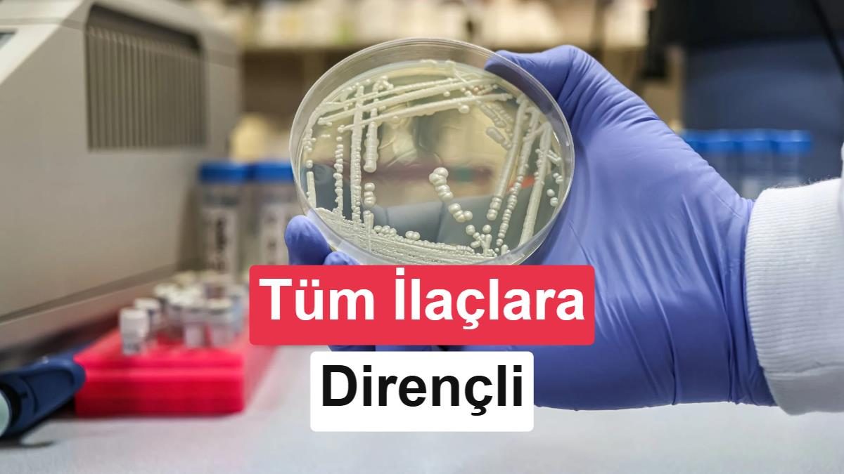 Tüm mantar ilaçlarına dirençli ölümcül mantar geri döndü